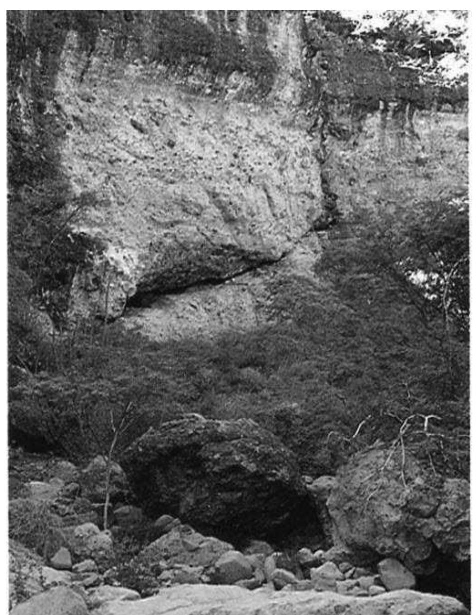 Figure 4. View of Cueva de la Serpiente (foto R. Vifias). 