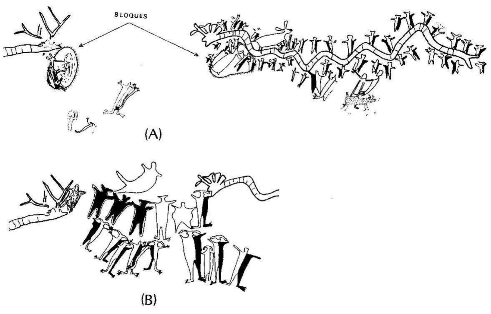 Figure 7. Location of painted blocks with representations of pregnant hinds (according to R. Vifias and E. Sarria). 