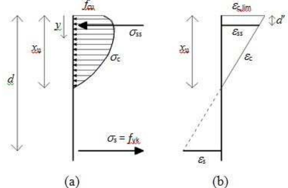 (a) stress distribution over the cross-section at the