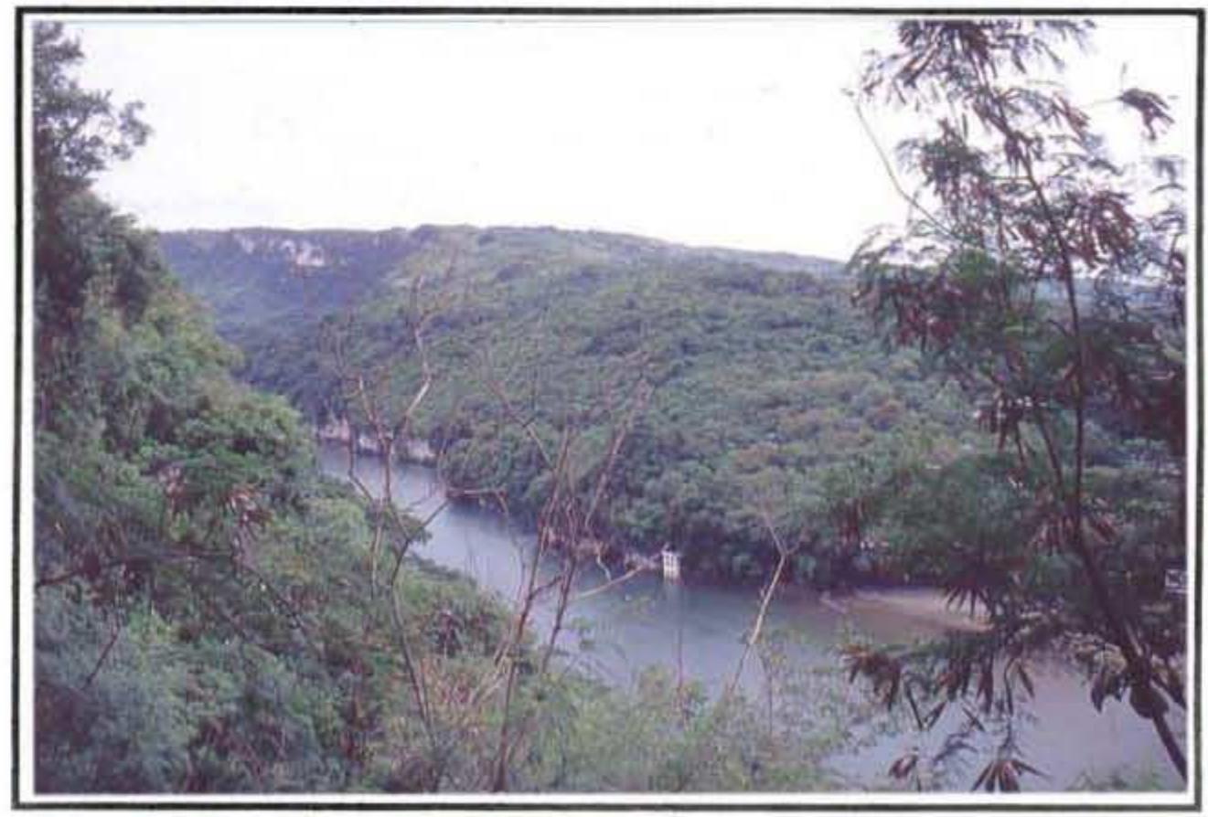 Pinac Region (PDF) The Palaeolithic in the Philippines