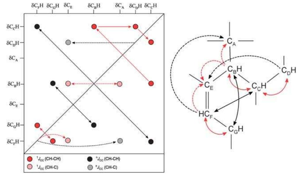 Schemes illustrating the types of distinguishable '?c-'7c