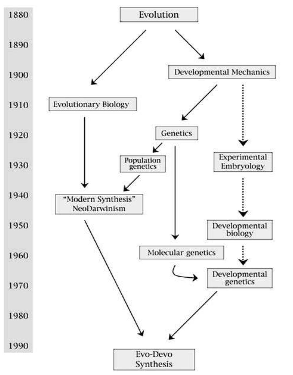 (PDF) Evolutionary developmental biology: its concepts and history with ...