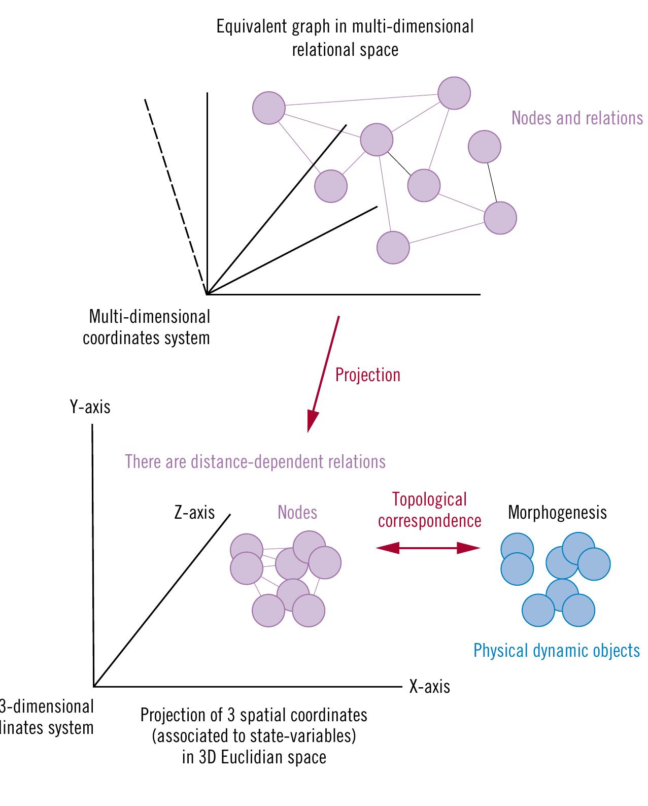 Multidimensional Grap Observer's schematic description of a cause-effect