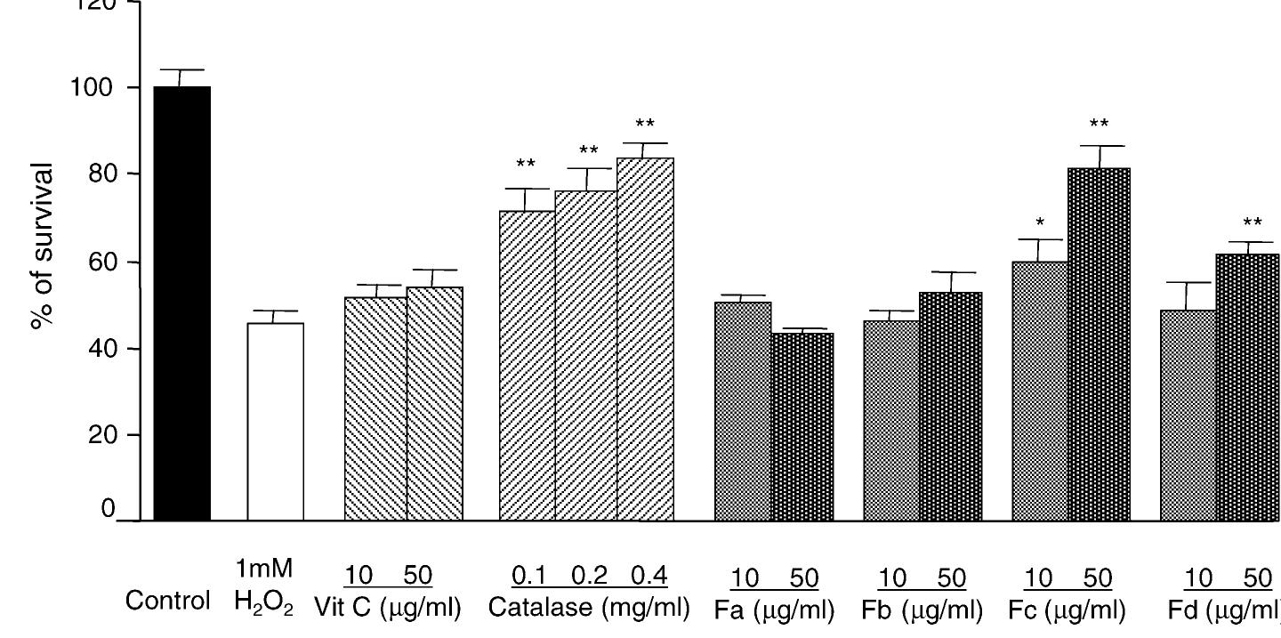 (PDF) Antioxidant effect of Inonotus obliquus