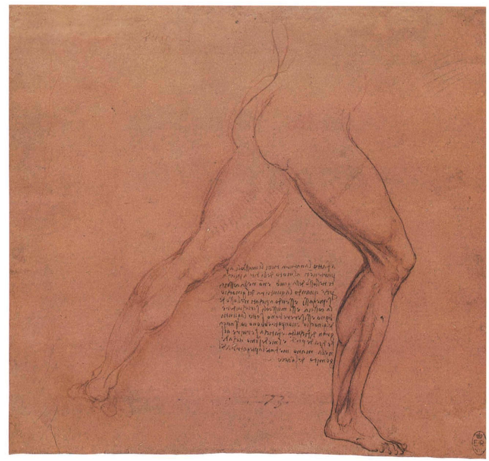 48. Study of a nude man lunging to the right (R.L. 12623R) 