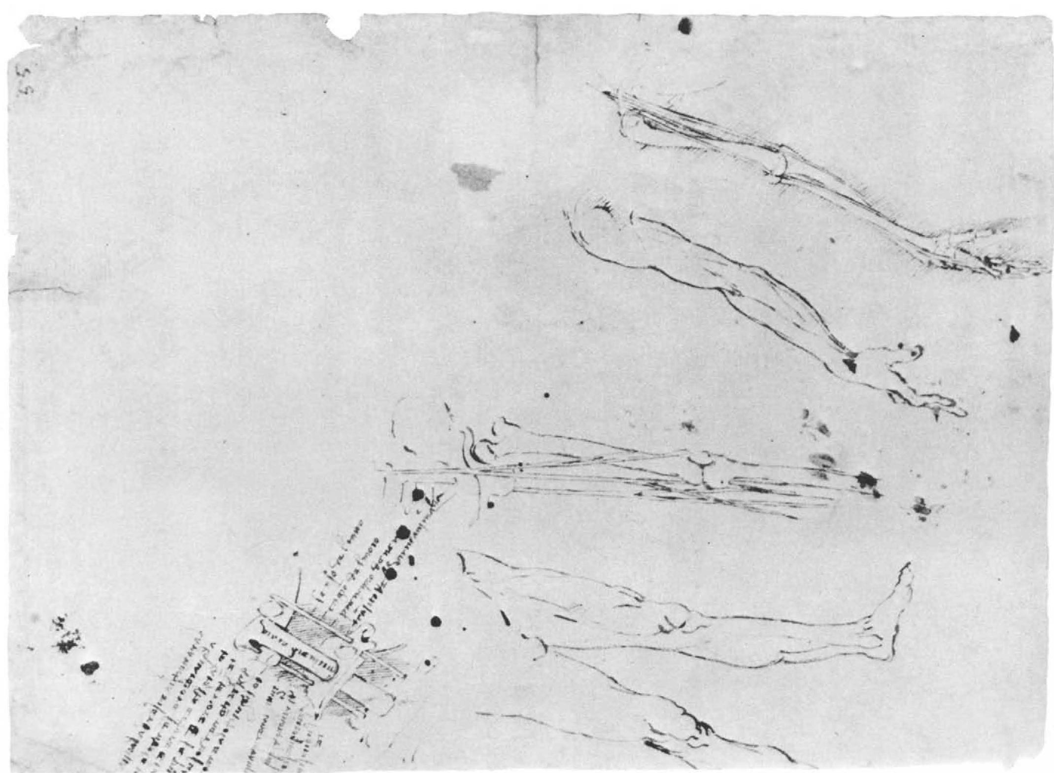 The main drawings covering the right-hand side of this sheet were copied (in reverse) by Diirer in his Dresden sketchbook. For various reasons it is unlikely that Diirer saw this sheet, and it is more likely that he had access toa copy (perhaps an engraving) after it. Whatever the case, he copied only as much of the drawings as are visible today: the incomplete drawing of the skeleton and tendons of the leg is incomplete in Diirer’s copy, while ultraviolet light reveals that Leonardo had completed it in his metalpoint underdrawing. It seems therefore that the underdrawing had already faded from normal vision in Leonardo’s lifetime. Other drawings that appear under ultraviolet light include a tower-like structure to left of center, com- parable to one in the Codex Atlanticus.  Pen and dark brown ink over metalpoint on blue prepared paper. (R.L. 12613Vv)  5B. The skeleton and tendons of the arm and leg 