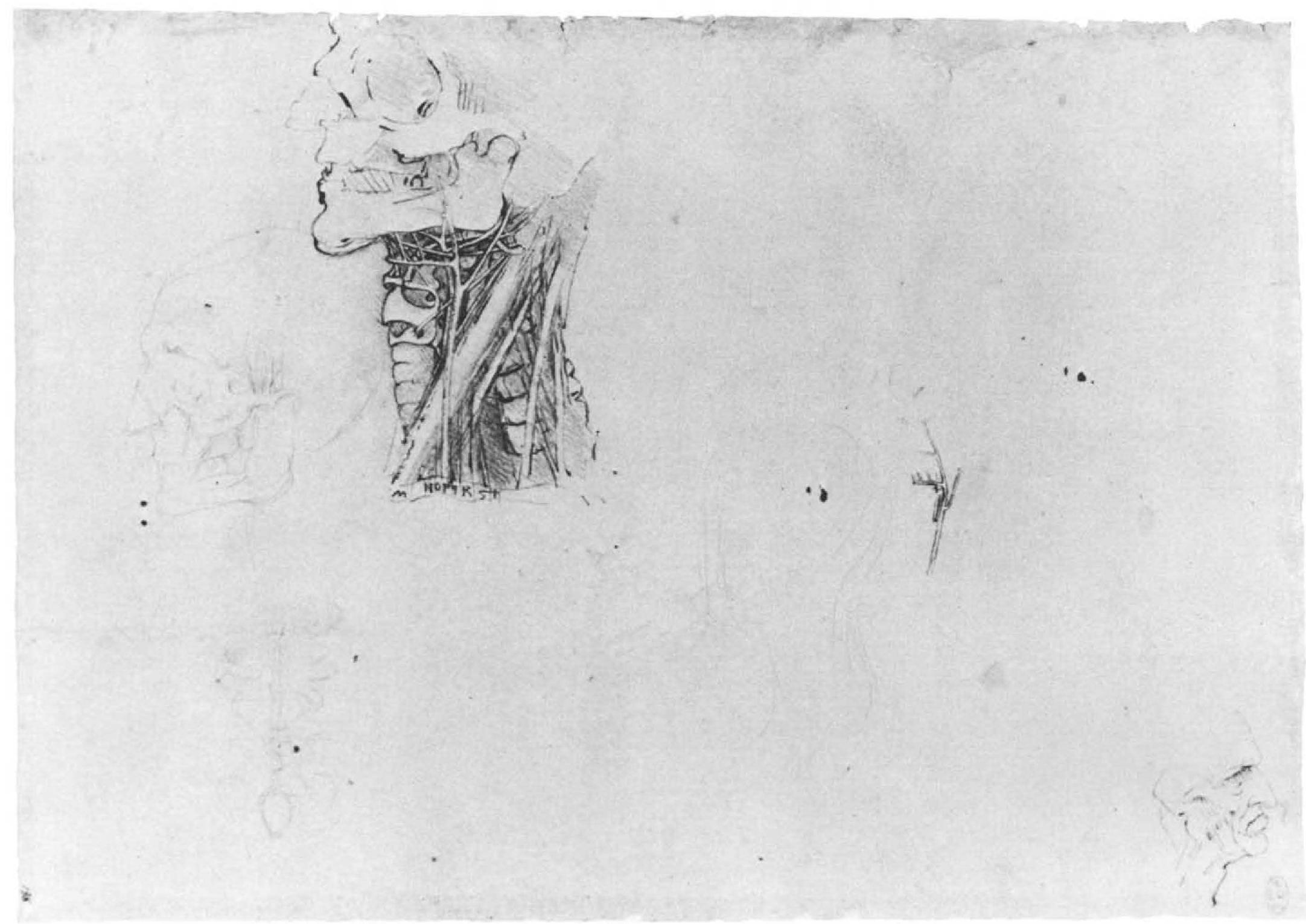 Pen and brown ink, heightened with white, over two types of metalpoint on blue prepared paper. 202 * 287 mm (R.L. 12609r) 