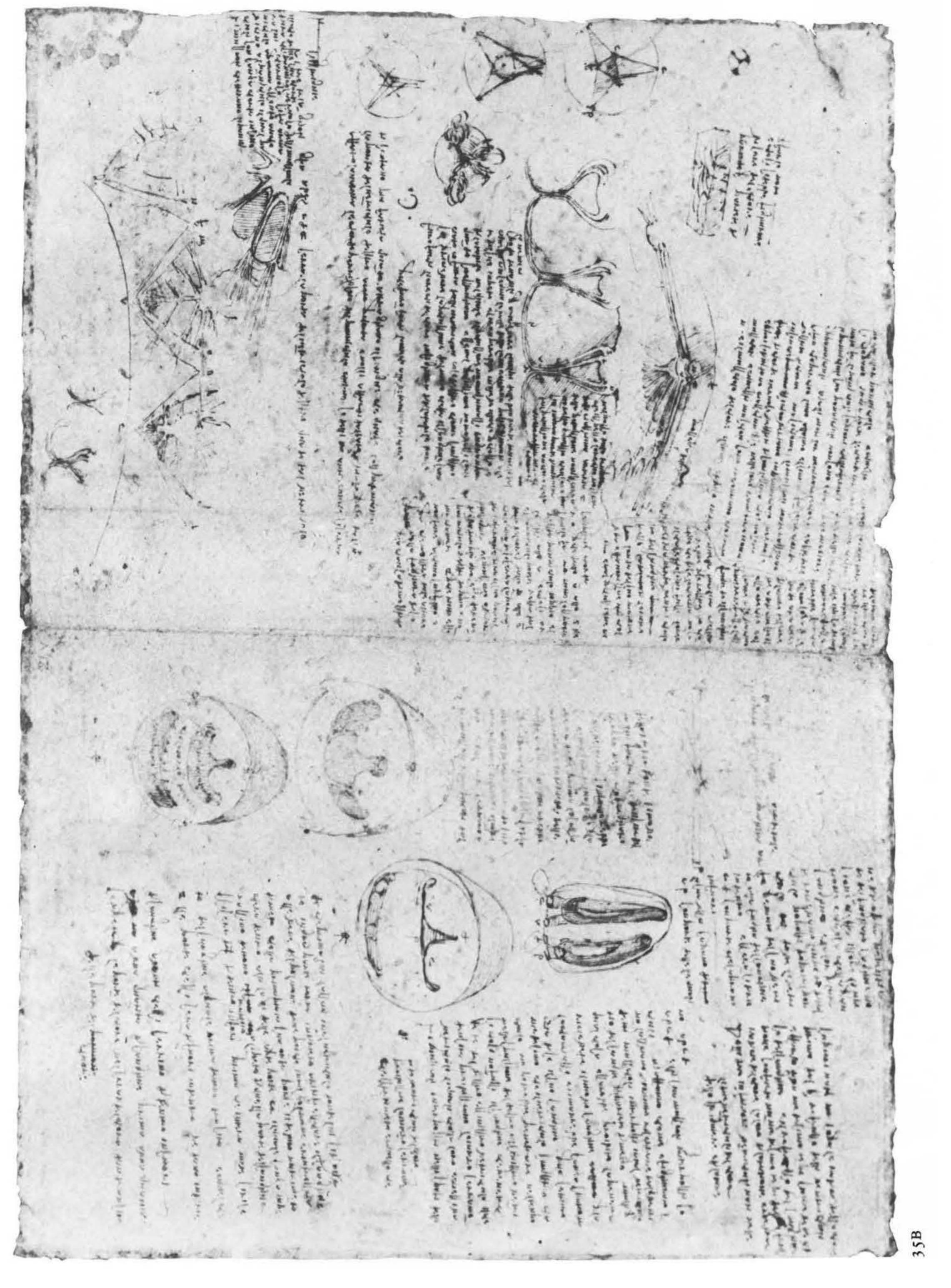 Figure 76 Leonardo da Vinci : anatomical drawings