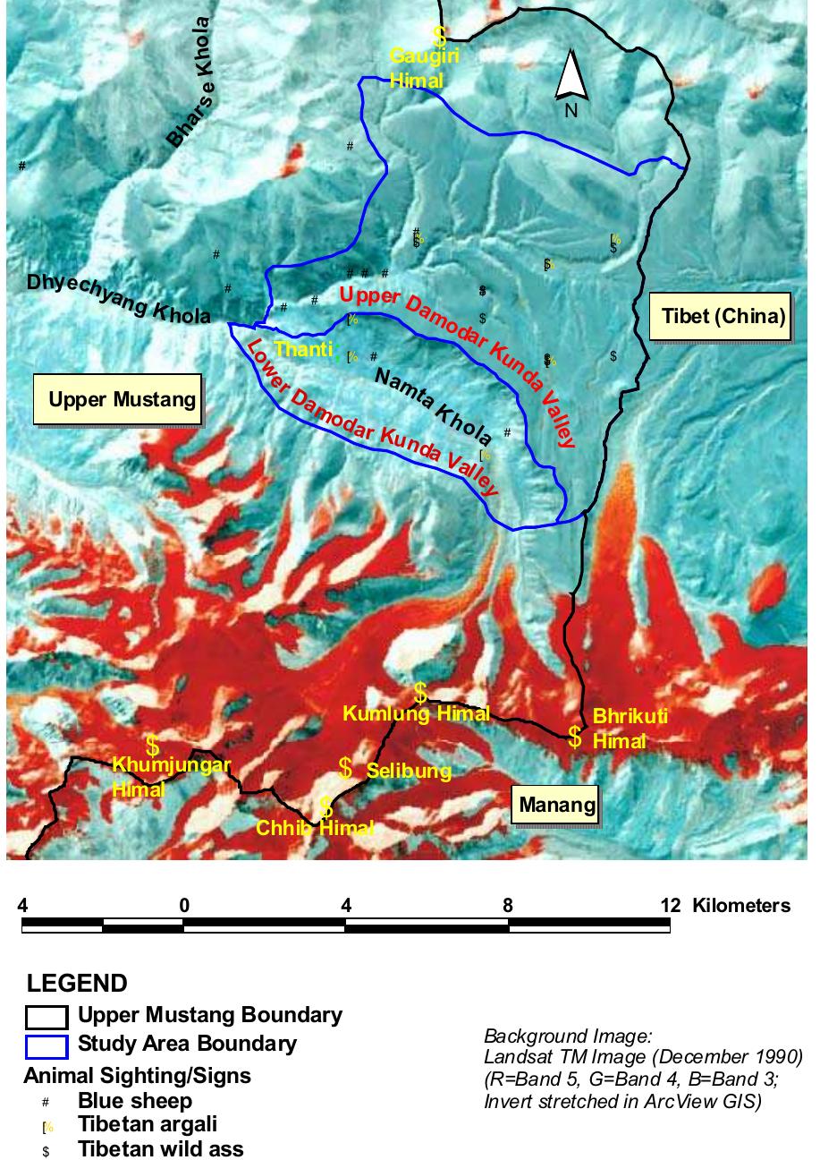 (PDF) Status and Distribution of Blue Sheep, Tibetan Argali and the ...