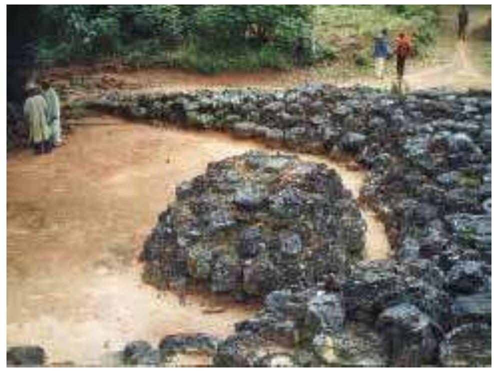 Figure 3: The slag blocks at Otobo Dunoka, Lejja.  Otobo Dunoka, the Lejja village square, is the site that presents the greatest concentration of slag blocks. The slag blocks are placed in rows, and they are often used as seats for village meetings (see Fig. 3). There are over 800 blocks of slag in this square, and the ends of some of them are either conical or spherical in shape. The blocks look alike, but are of different sizes. The diameters of the slag blocks range between 31 and 56cm, with heights ranging from 22 to 36 cm. Some of the slag blocks are broken, but the unbroken ones have an average weight of between 34 and 57 kg (Okafor 1993, p.439). 