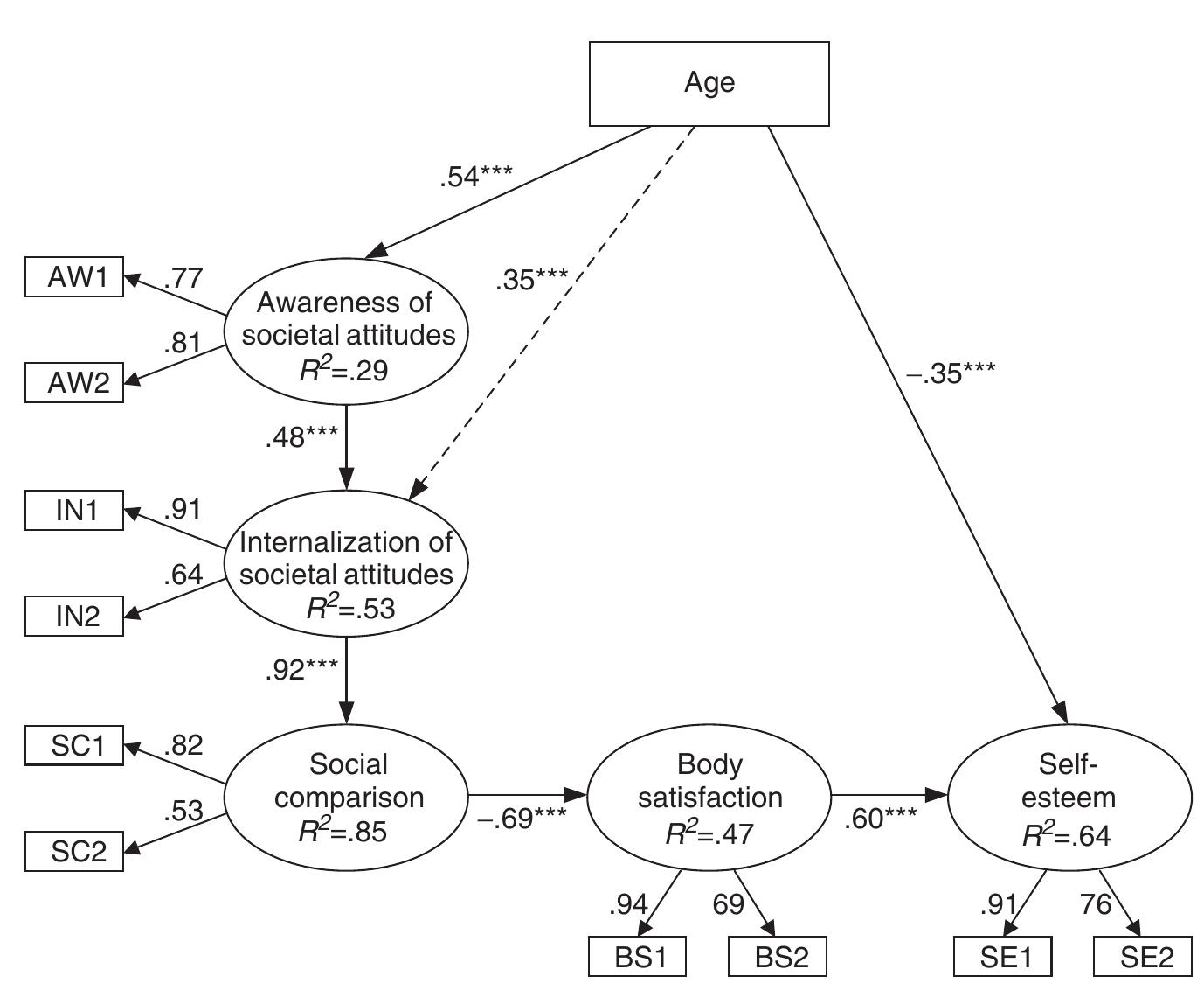 Note. solid lines show conceptual model (from figure 1).