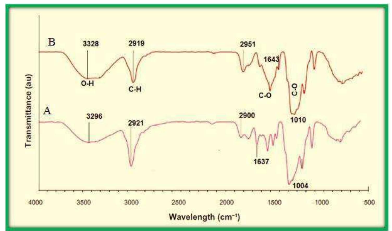 (PDF) GREEN BIOSYNTHESIS OF SILVER NANOPARTICLES USING MORINGA OLEIFERA ...