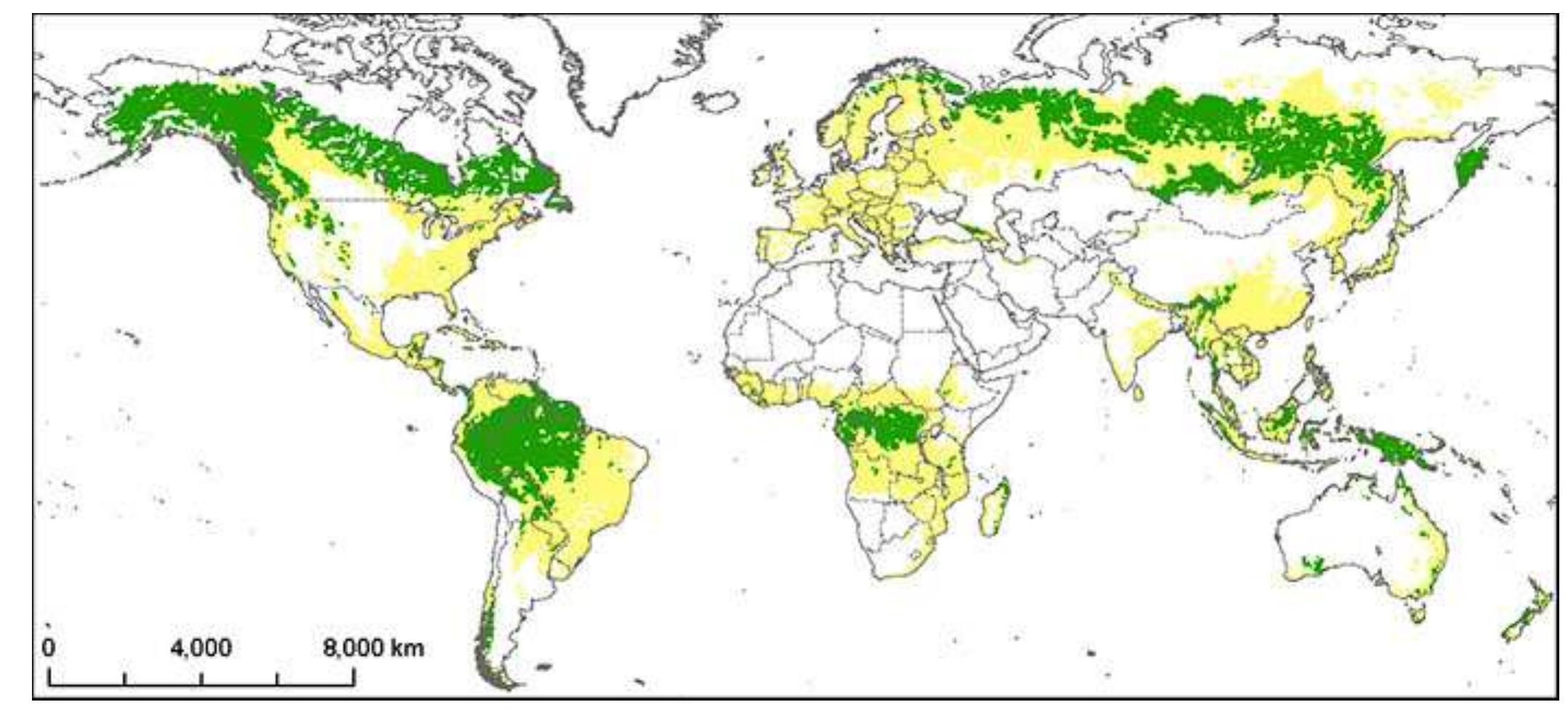 (PDF) Mapping the World's Intact Forest Landscapes by Remote Sensing