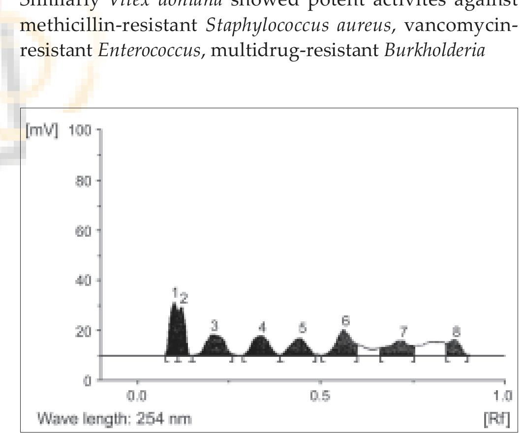 (PDF) Antibacterial effect of Vitex agnus castus
