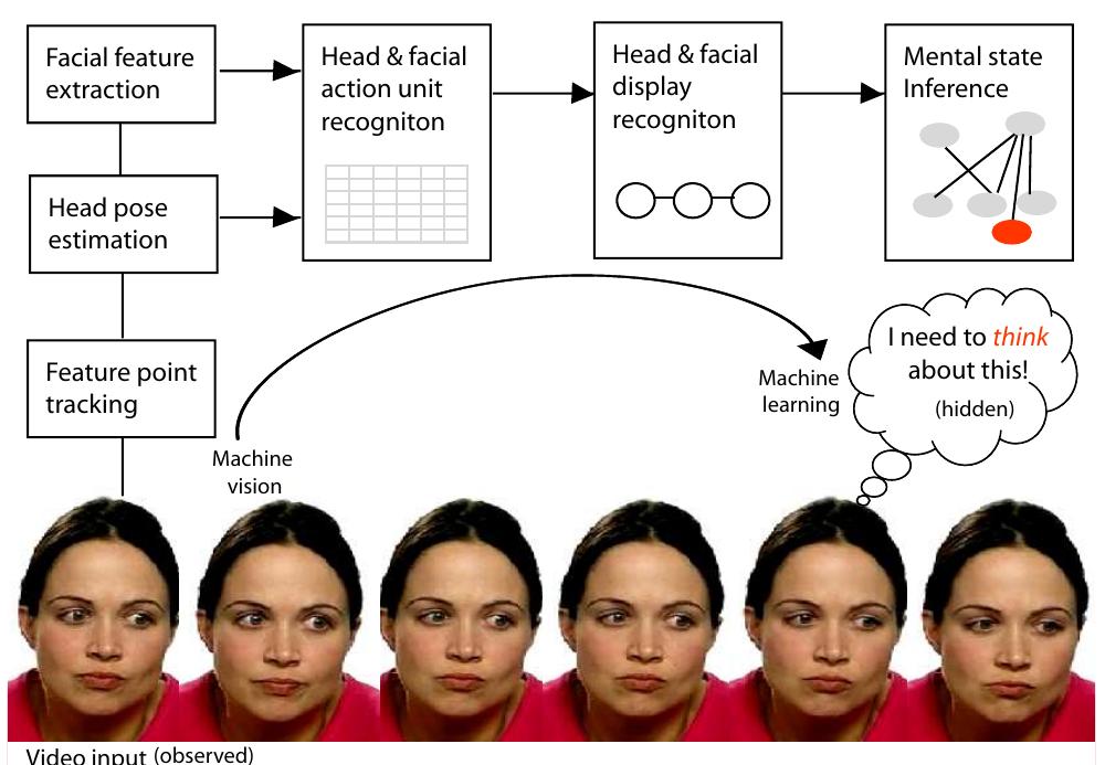 Real Mind Reader Machine (PDF) Mind reading machines: automated inference of cognitive mental ...