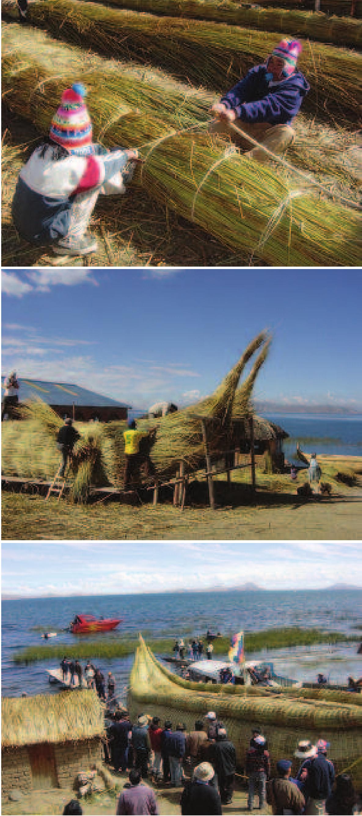 Tatora Reed (PDF) Reed Boats and Experimental Archaeology on Lake Titicaca