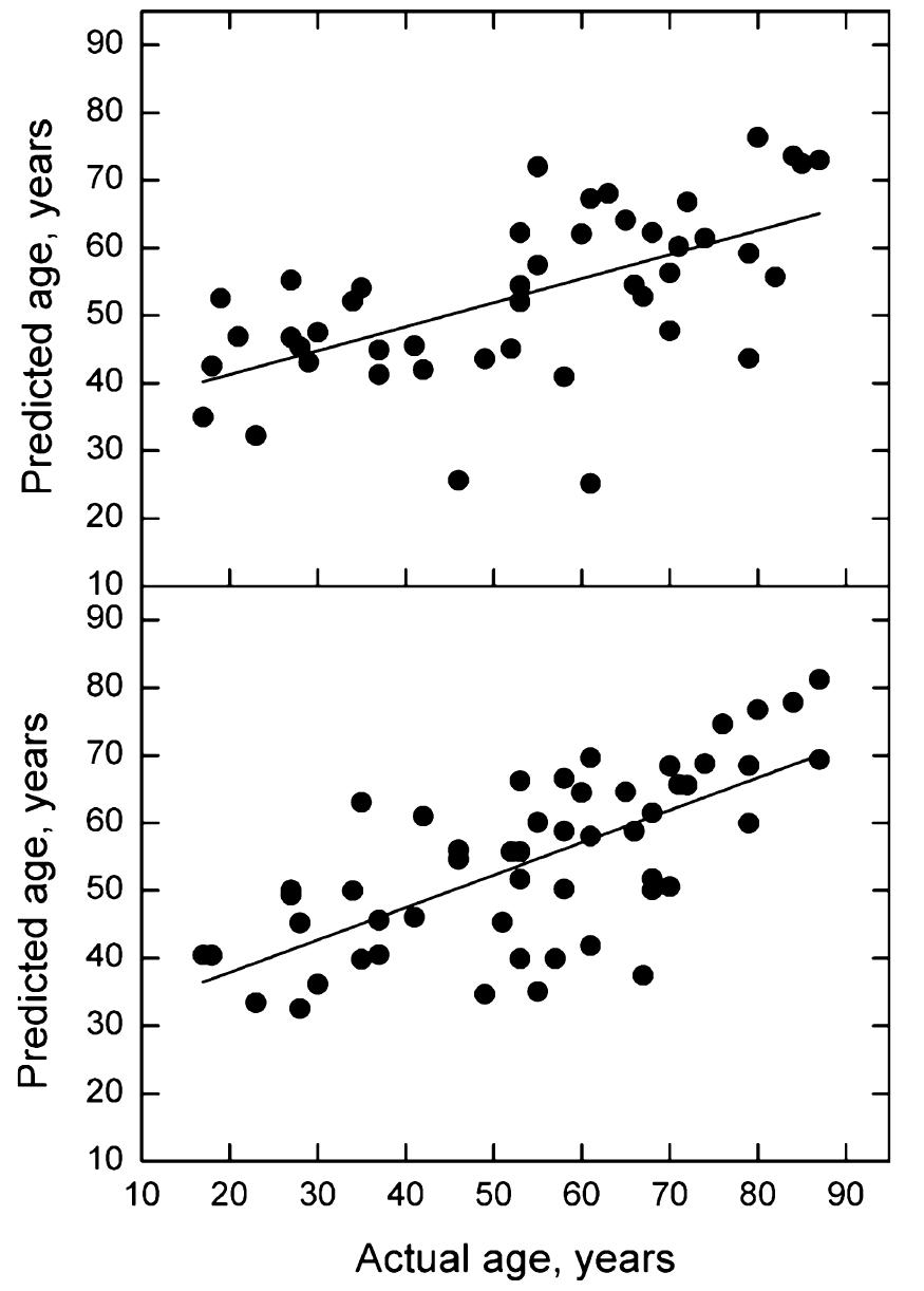 (PDF) Quantitative assessment of the sternal rib end morphology and ...