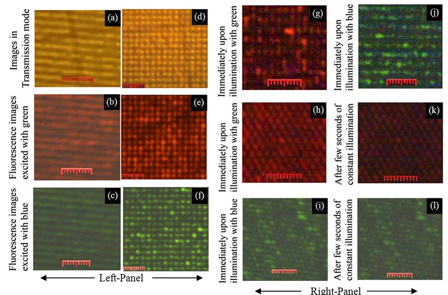 (PDF) Surface enhanced fluorescence and imaging with plasmon nearfields ...
