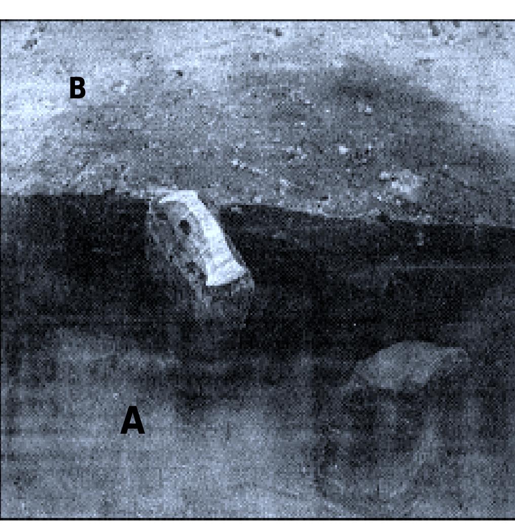 A large number of similar causewayed enclosures  Battle-Axe at Causewayed Enclosure Camp in Sarup, Funen, Denmark. The lower part of the excavation (la- beled A) is dated to c.3500 BCE, suggesting a more recent date for the upper strata (B) containing the battle-axe. (from Andersen??)  This is the only mention of a date in the entire excavation report, but clearly demonstrates a very long period of peaceful conditions, from the “early Neolithic” (c.3000 BCE?) until the appearance of violence some- time after c.2000 BCE, with its final destruction after c.1000 BCE.18 
