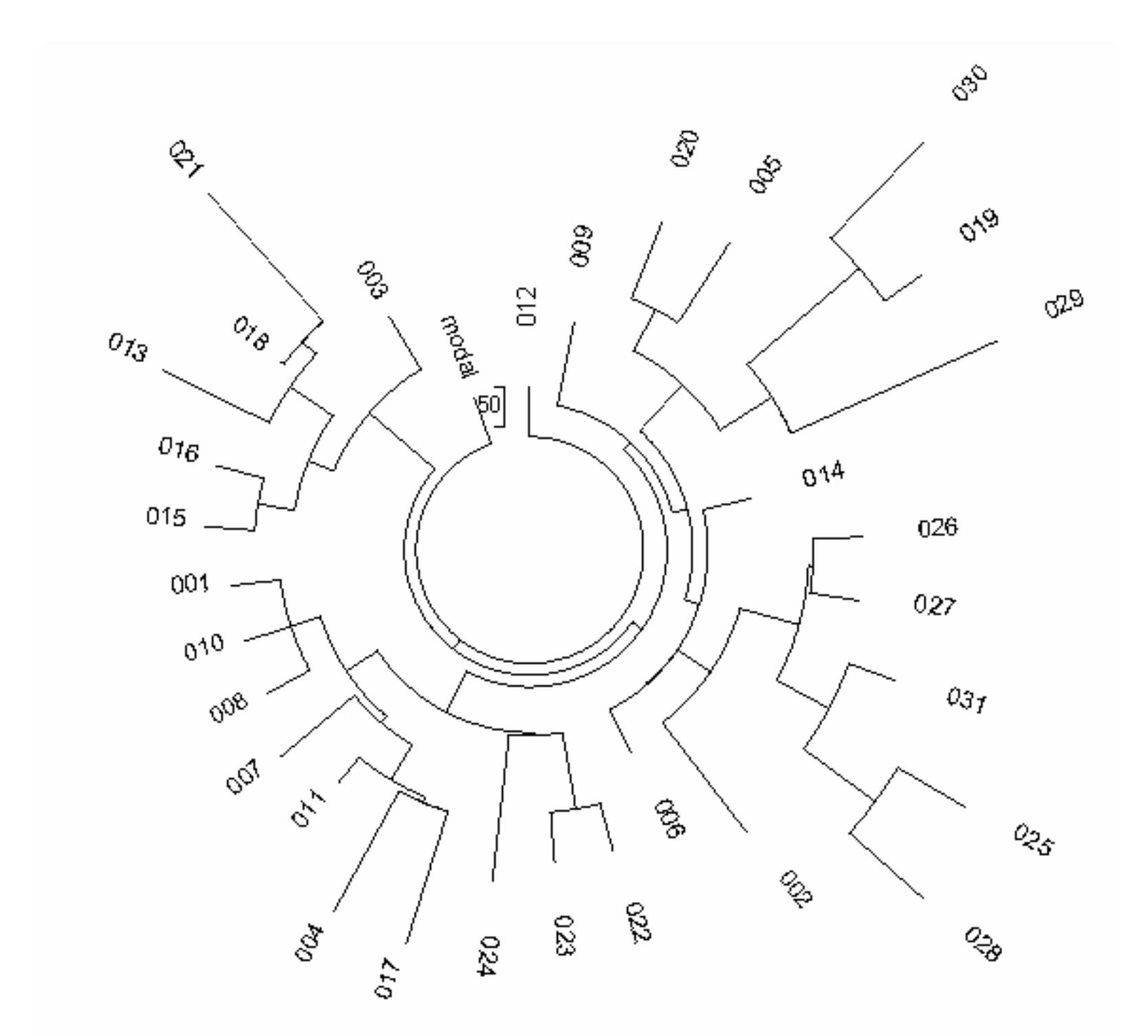 A series of 67 haplotypes of haplogroup r1a1 from the