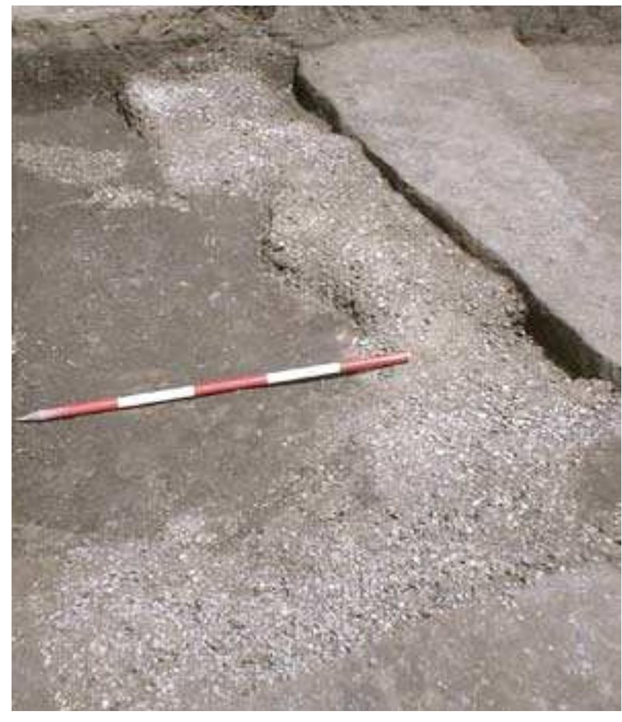 -3: pit with deposit of shells. types are petunculus and