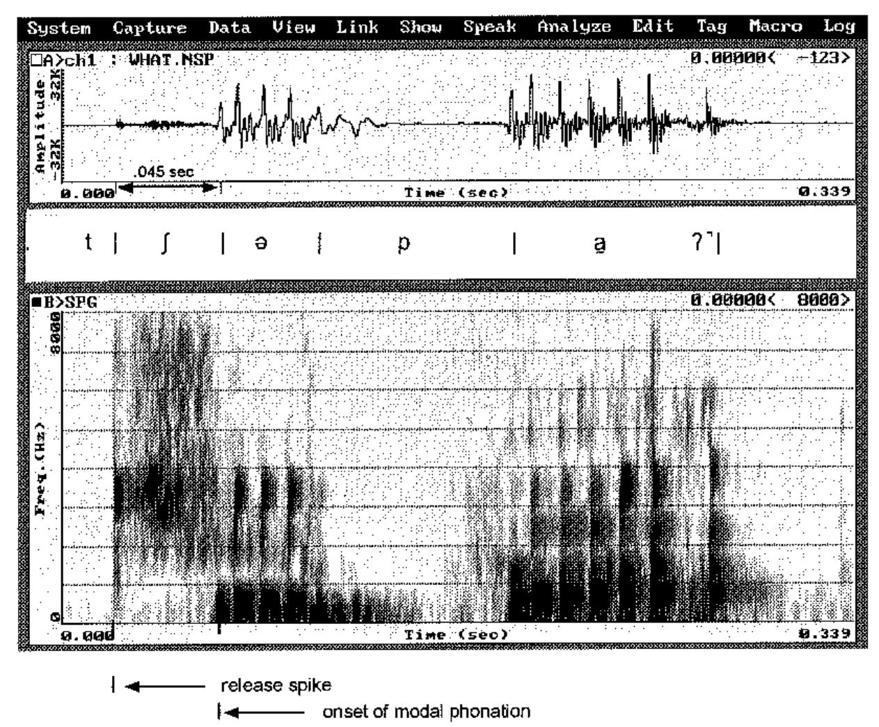 Figure 36 - A Phonetic and Phonological Description of Ao: A