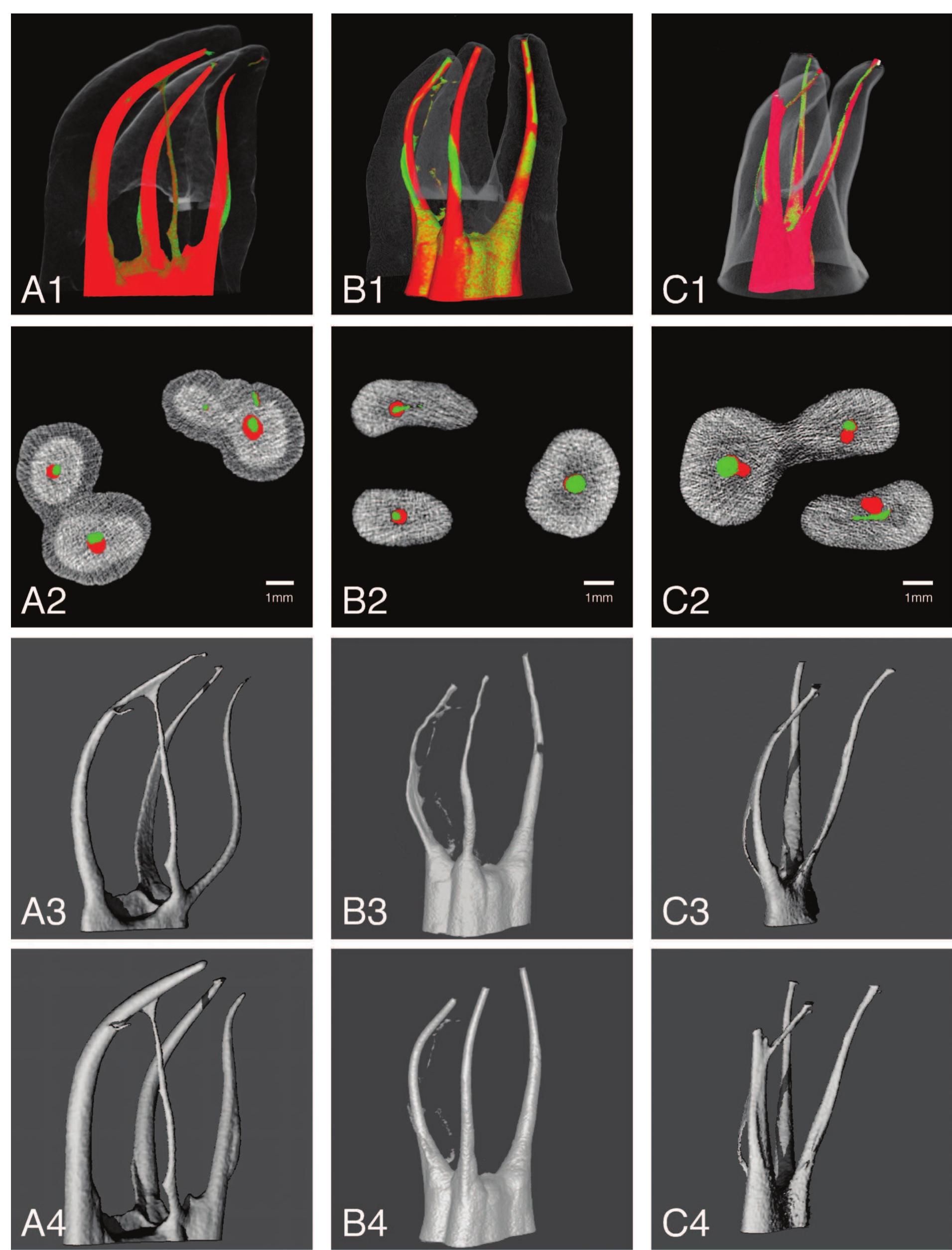 Figure 1 - from 2004 Peters - Current Challenges and