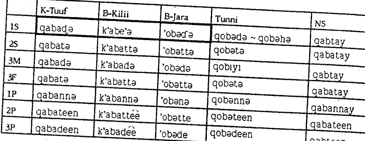 fable 3. Past affirmative of autobenefactive verbs.  fable 4. Imperative affirmative of autobenefactive verh 