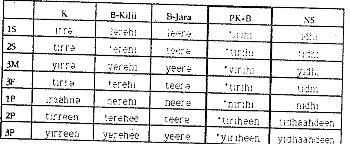 Like other Somali dialects of the central, southern, and coastal regions, K makes use of the stem deh- for the imperative affirmative and the verbal noun. In B, however, *deh- is unknown, and also the imperative (both affirmative and negative) and the verbal noun are built upon the present stem - often in alternation with different verbs altogether:  Table 15. ‘to say’, past affinnative. vy fp 