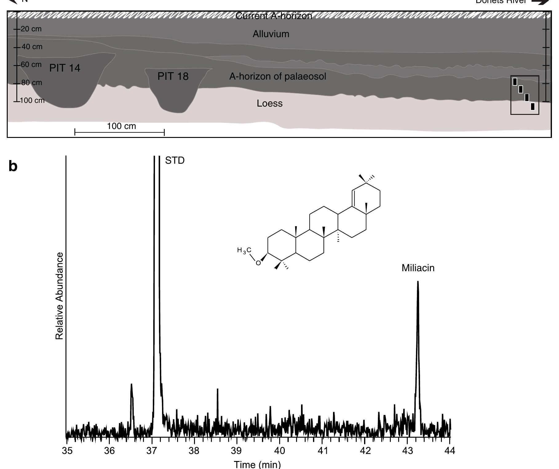 (PDF) Miliacin in palaeosols from an Early Iron Age in Ukraine reveal ...