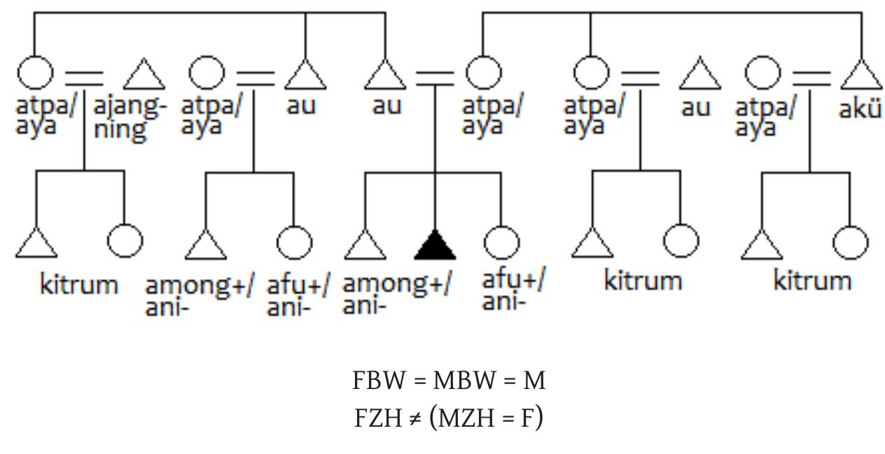(PDF) The Kinship Terminology of the Sangtam Nagas