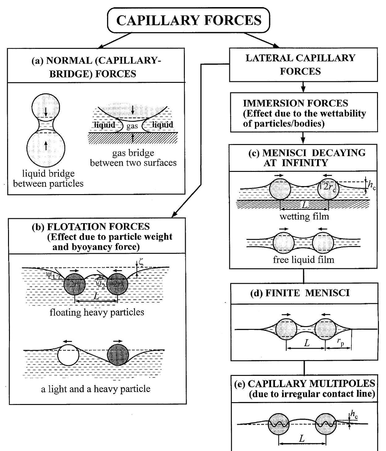 Normal Capillary Types of capillary forces: (a) the normal capillary forces