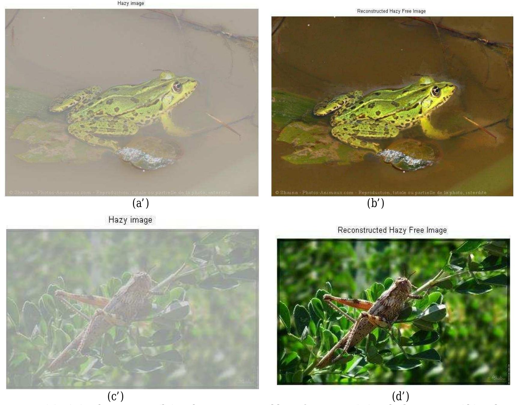 Imadjust Parameters (PDF) A Literature Survey of Image Enhancement of Human Biology