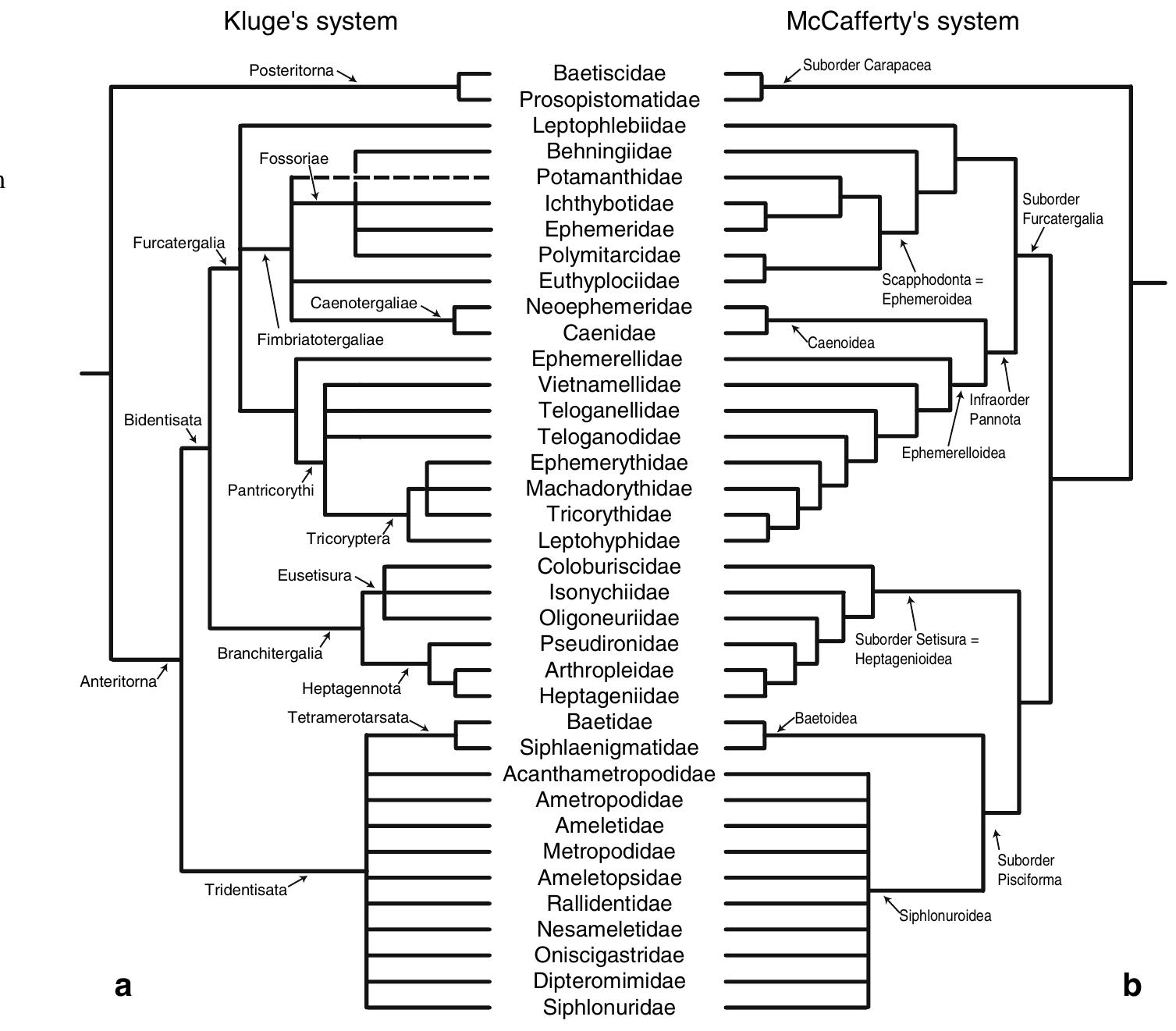 (PDF) Global Diversity of mayflies (Ephemeroptera: Insecta) in freshwater.