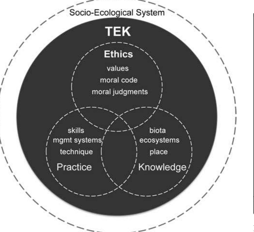 Conceptual diagram of components of traditional ecological