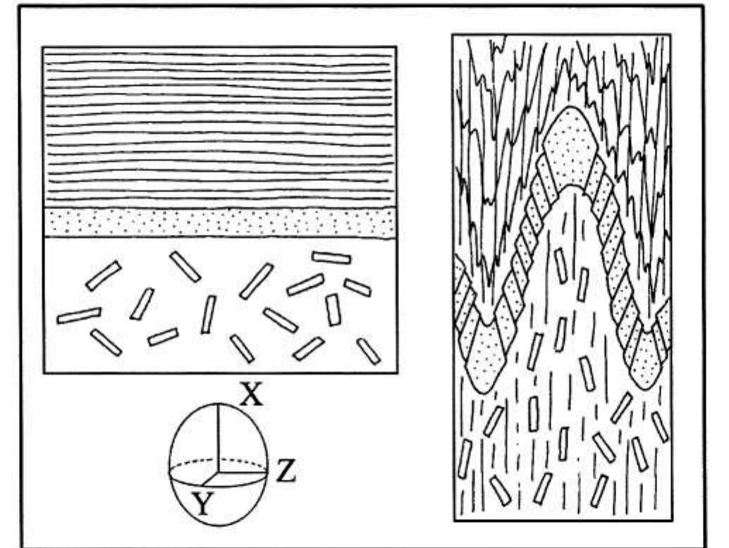 Axial Plane Rocks (PDF) Petrology and Structural Geology : Metamorphic Rocks and their ...