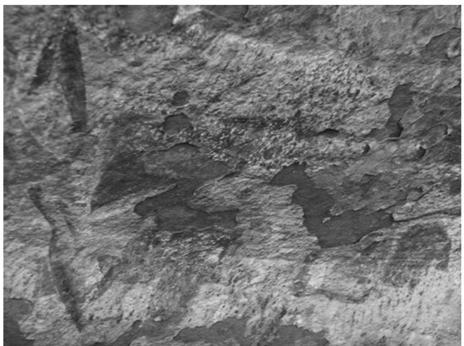 Figure 4 Severely deteriorated San Rock Art, showing an eland surrounded by hunters. 