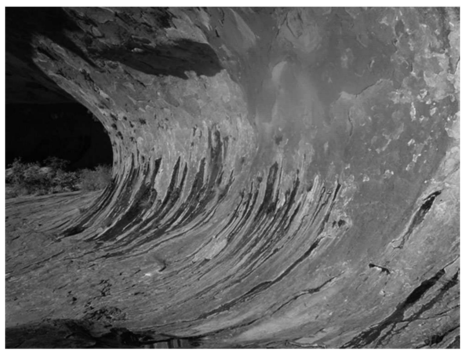 Figure 5 The site 1 rock face, showing moisture outlets. Dark streaks on the face are the result of moisture coming out of the rock at specific points. 