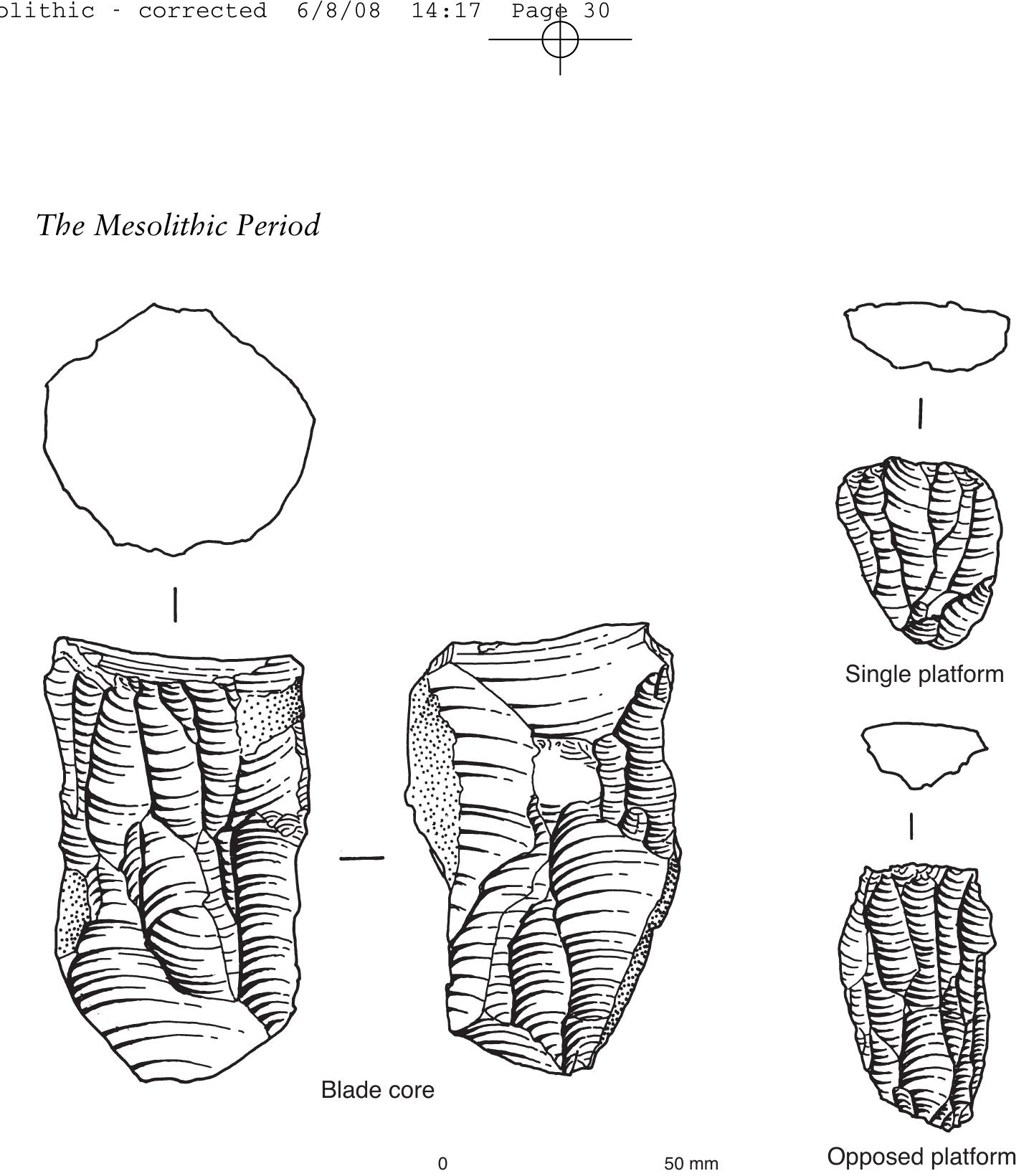 Microliths are typified by obliquely trun- cated microliths, isosceles triangles and trapezoids. Deep Carr type (DC) assem- blages (named after the site at Deep Carr, Yorkshire, where they were first seen) are composed of obliquely truncated microliths that are typically longer and narrower. Isosceles triangles and trape- zoids are rarer than in the SC type assem- blages, and there are few axes or adzes.  supported by similarities noted between the SC broad oblique microliths and those identified in Long Blade assemblages. 