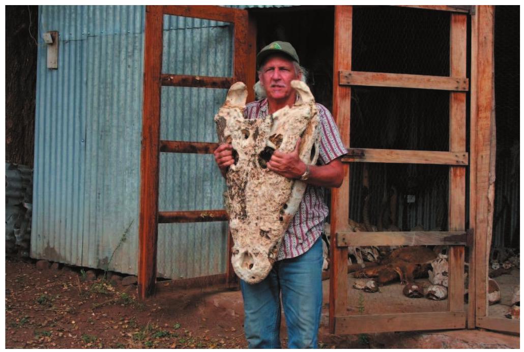 Rom Whitaker (PDF) Whitaker, R. & N. Whitaker. Whos got the biggest? Crocodile ...