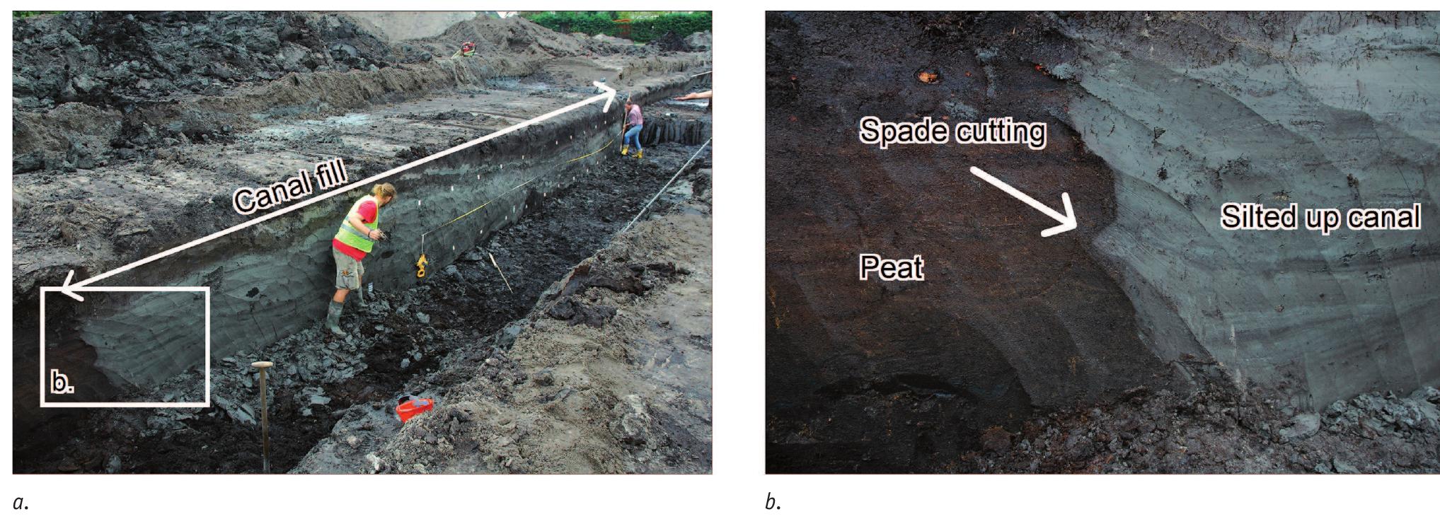 Fig. 11. Corbulo canal in Leidschendam-Voorburg (photos by E. Graafstal). a. Silted up canal; b. Spade cuttings in peat.  Corbulo canal (Fig. 11; De Kort & Raczynski-Henk, 2008). Near the mouth of the Mare canal in the Rhine, ca one kilometre south of fort De Meern, a small military complex was discovered (Jansen, 2006). Yet, the exact outlay and dating of this feature is still unknown (Fig. 9a). 