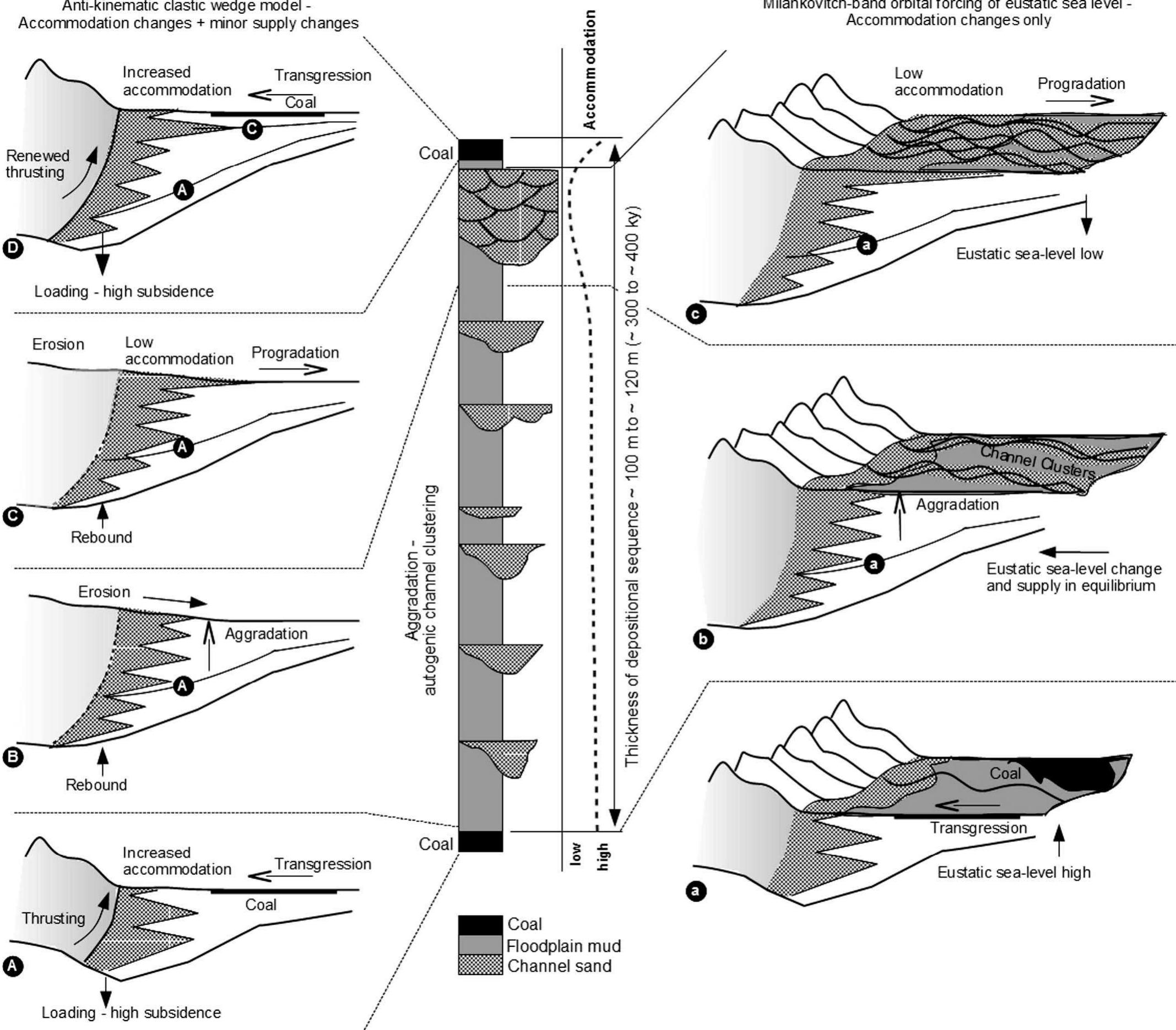 Fic. 11—diagram of the inferred accommodation cycle, and the