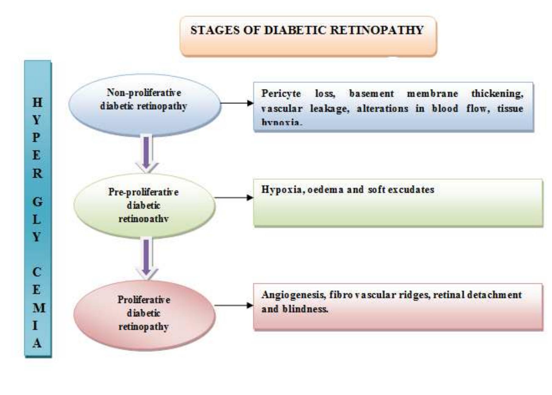 Various stages of diabetic retinopathy positions 35,