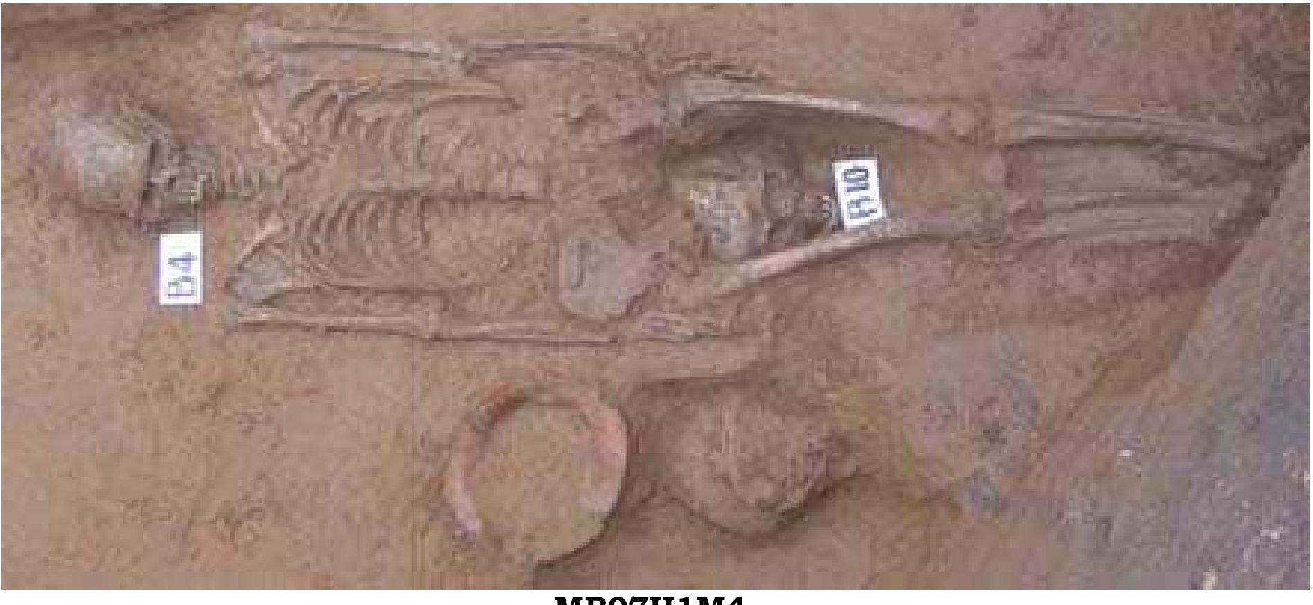 Figure 29 - from Appendix 1: Man Bac Burial Descriptions