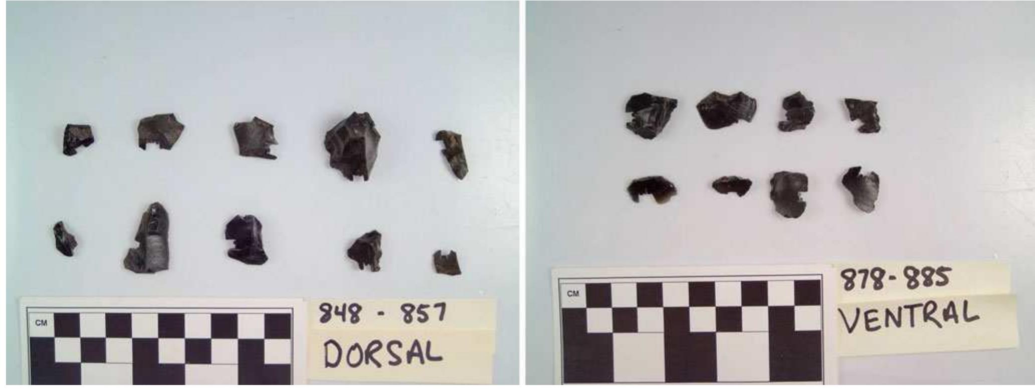 Fig. 5 Some examples of Nuragic obsidian artifacts from Duos Nuraghes (note sections missing as a result of obsidian hydration dating (Stevenson and Ellis 1998)) 