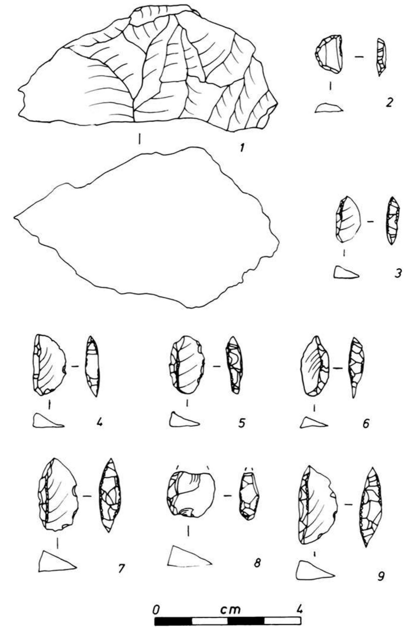 At Duos Nuraghes, there is a broad distribution of backed tools. It is clear that for whatever these artifacts were used, it occurred throughout the site. Nine of the 17 structures, including the nuraghi, contain backed tools, and 14 of 17 contain unshaped tools. This would seem to negate the existence of craft specialization. Additional evidence for the lack of craft specialization is expressed by the distribution of artifacts throughout the site (Fig. 9). All of the structures display a broadly similar collection of artifacts. None of the structures contain an inordinate amount of debitage, cores, or other artifacts which would 