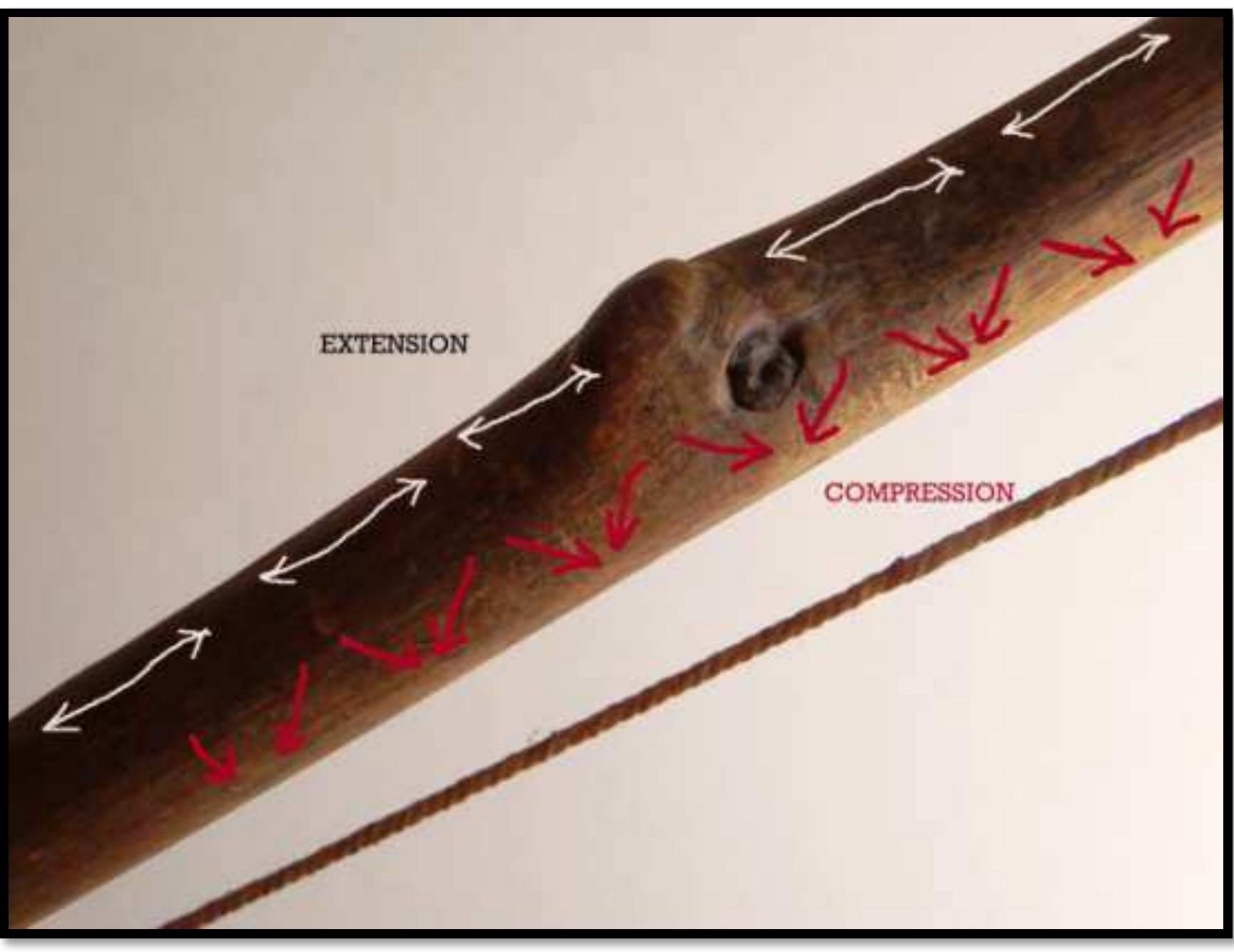 Plate 10: piercing barbed bone point found in the escaut