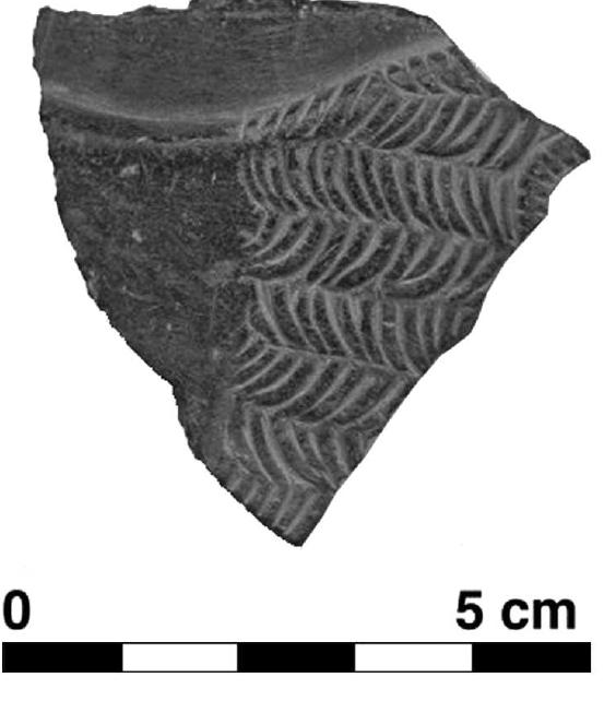 Fig. 16 — Fragment of “chlorite” vessel from Nausharo, Period IC (photograph MAI © C. JARRIGE). 