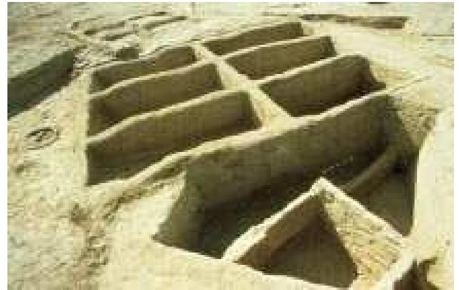 Mahagara (PDF) Mehrgarh Neolithic Mehrgarh Neolithic Mehrgarh Neolithic Mehrgarh ...