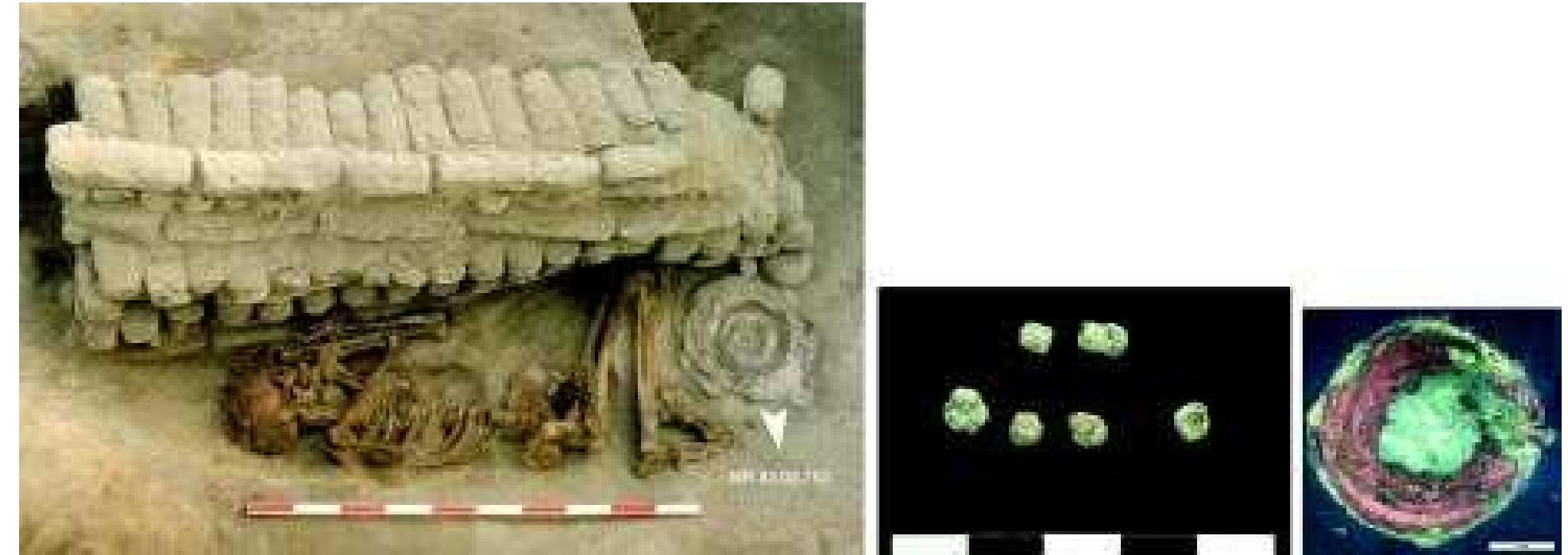 Mahagara Figure 20 - from Mehrgarh Neolithic Mehrgarh Neolithic